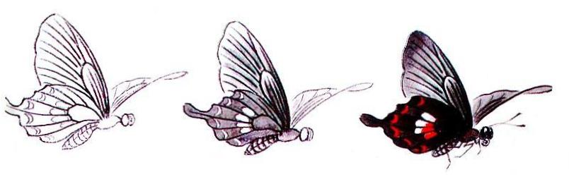 Le papillon en peinture chinoise gongbi, 1