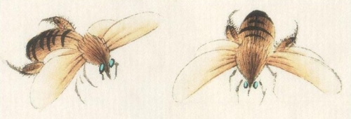 Les abeilles en peinture chinoise gongbi, étape 4