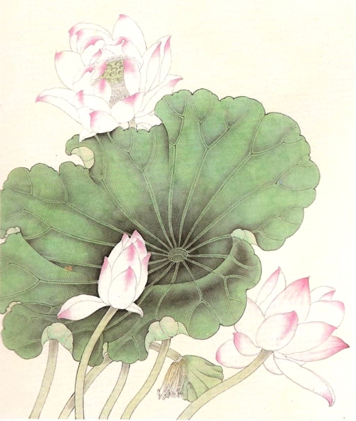 Le lotus en peinture chinoise gongbi, étape 3