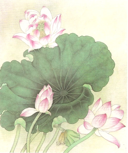 Le lotus en peinture chinoise gongbi, étape 4