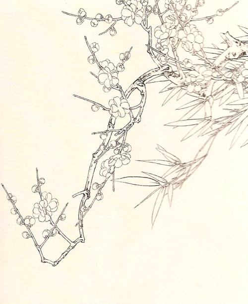 La fleur de prunier en peinture chinoise gongbi, étape 1