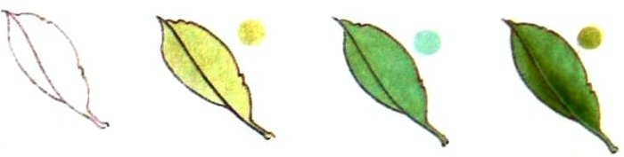 Les feuilles en peinture chinoise gongbi n°2