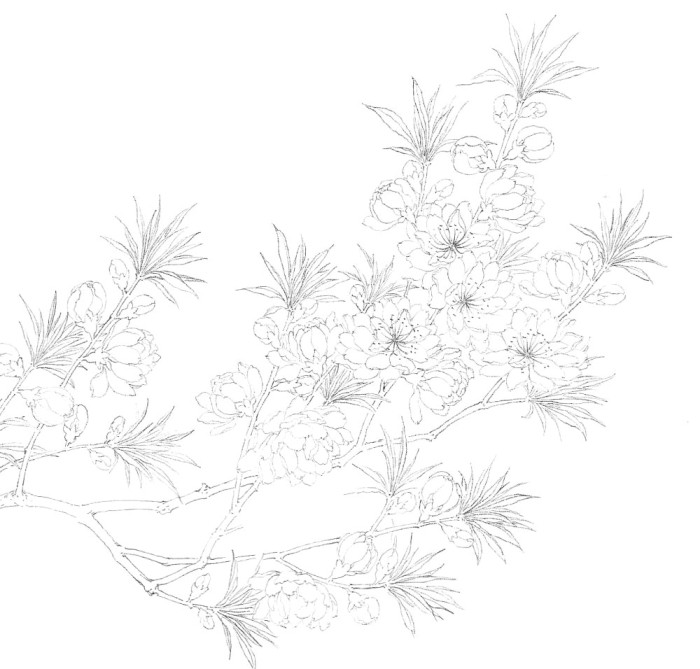 Les fleurs de poirier en peinture chinoise mogu, étape 1