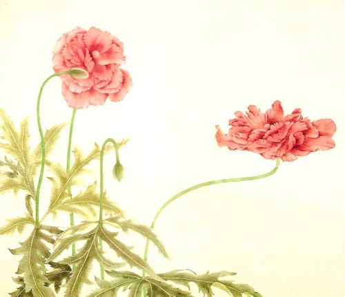 Les coquelicots en peinture chinoise mogu, étape 3