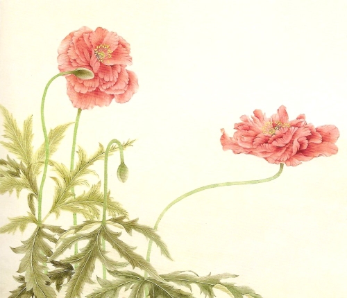 Les coquelicots en peinture chinoise mogu, étape 4