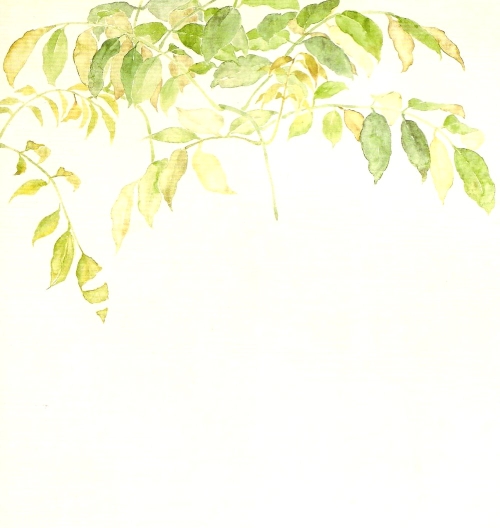 Les glycines en peinture chinoise mogu, étape 2