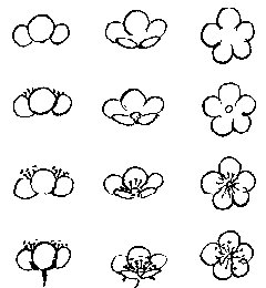 Les fleurs de prunier en peinture chinoise xieyi, étape 1