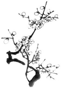 Les fleurs de prunier en peinture chinoise xieyi, étape 4