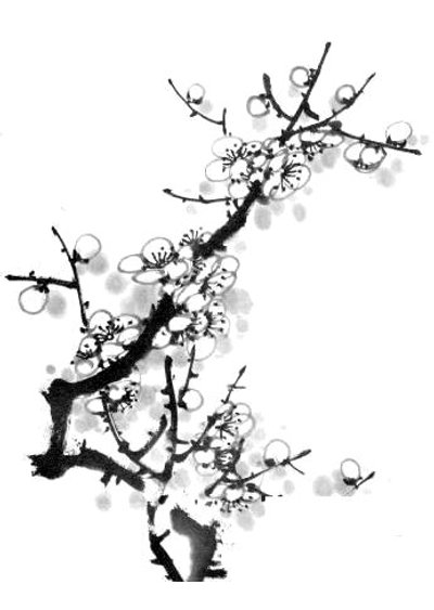 Les fleurs de prunier en peinture chinoise xieyi, étape 5