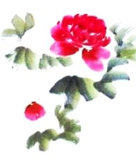 Le pivoine en peinture chinoise xieyi, étape 1