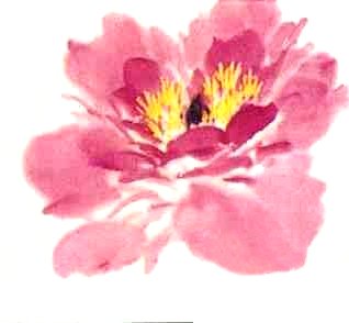Le pivoine en peinture chinoise xieyi, la fleur étape 3