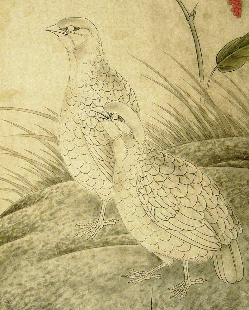 La caille en peinture chinoise gongbi, étape 1