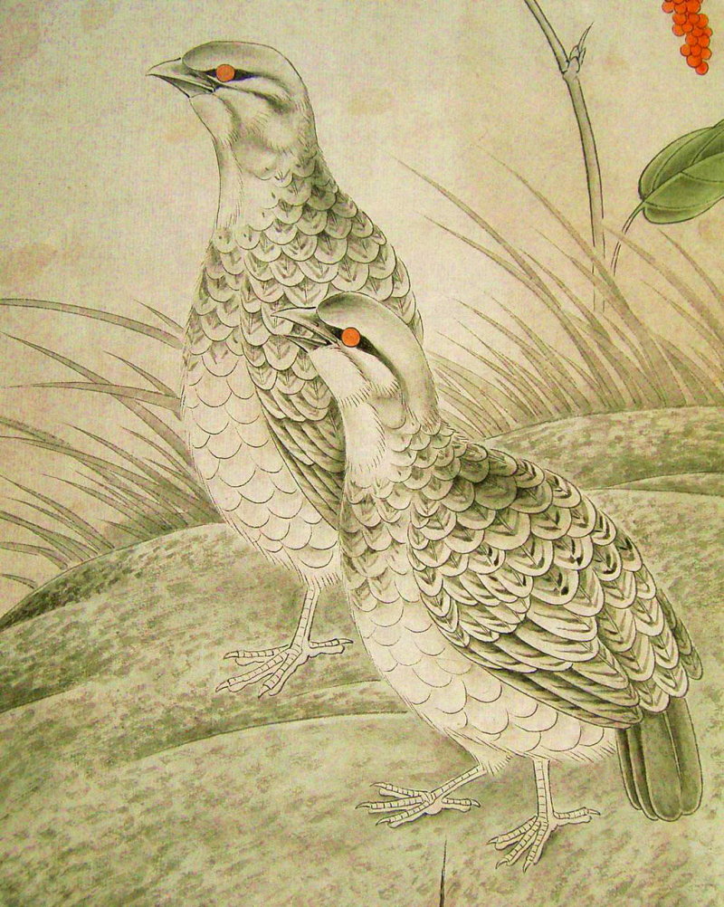 La caille en peinture chinoise gongbi, étape 2
