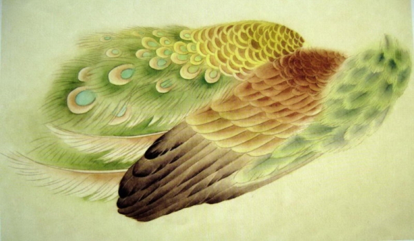Les ailes du paon en peinture chinoise gongbi, étape 3