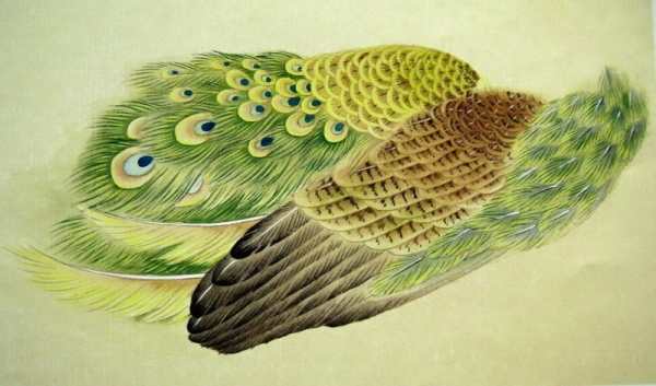 Les ailes du paon en peinture chinoise gongbi, étape 4