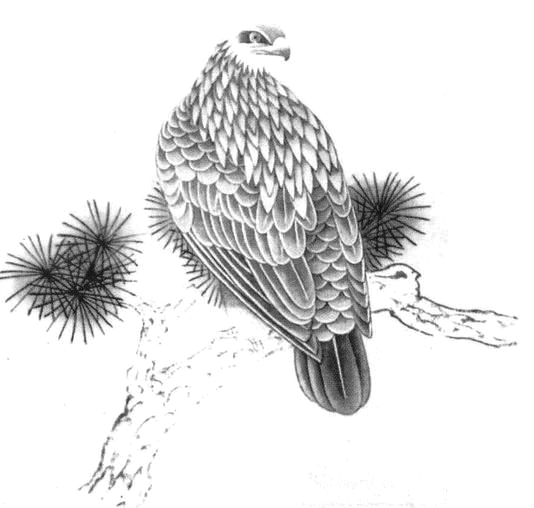 L'aigle en peinture chinoise gongbi, étape 2