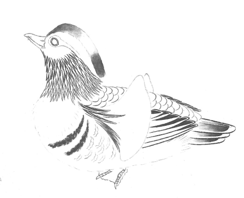Le canard mandarin en peinture chinoise gongbi, étape 1