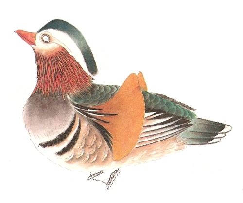 Le canard mandarin en peinture chinoise gongbi, étape 3