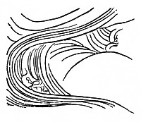 Technique du tracé en peinture chinoise baimiao : Caoyi chushui = vêtement mouillé