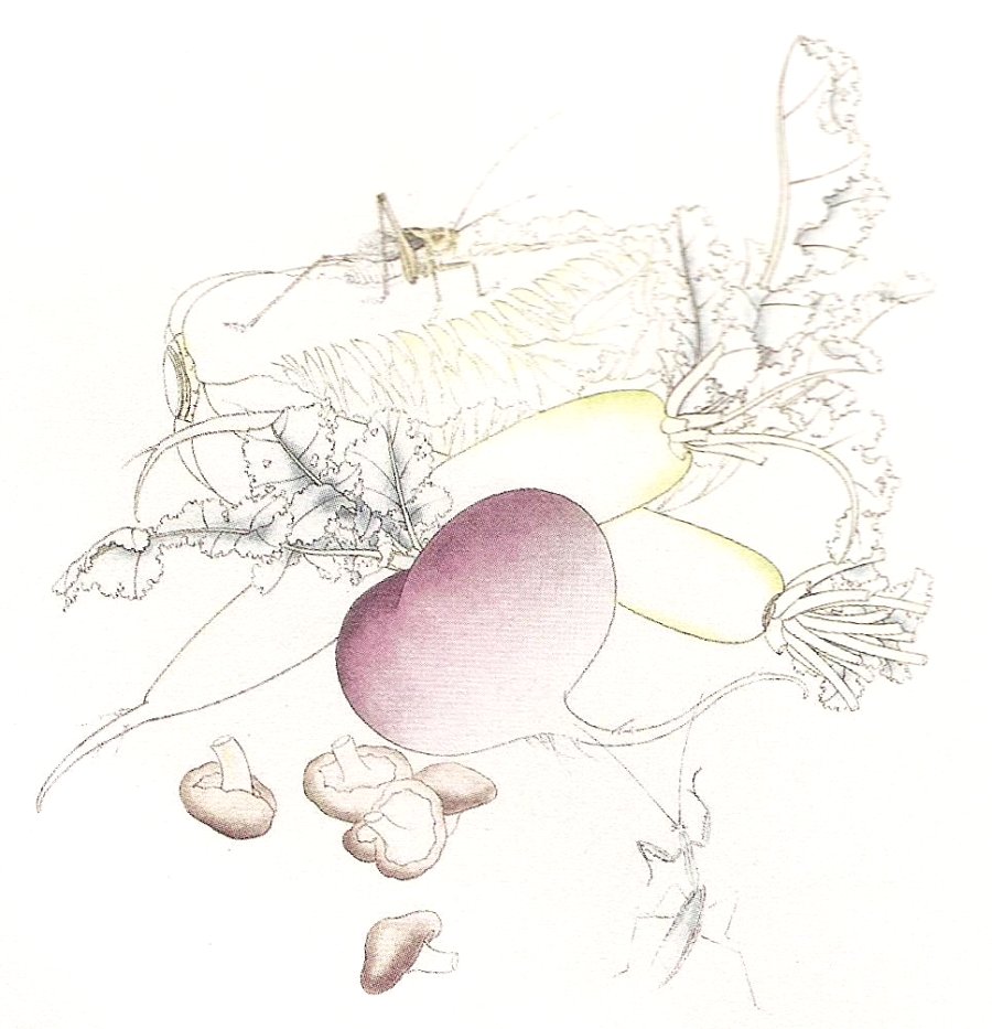 Les chous chinois, les navets et les champignons en peinture chinoise gongbi, étape 3