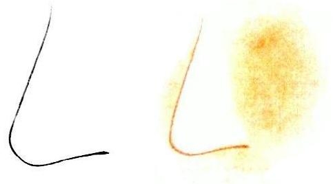 Peinture chinoise gongbi : le nez