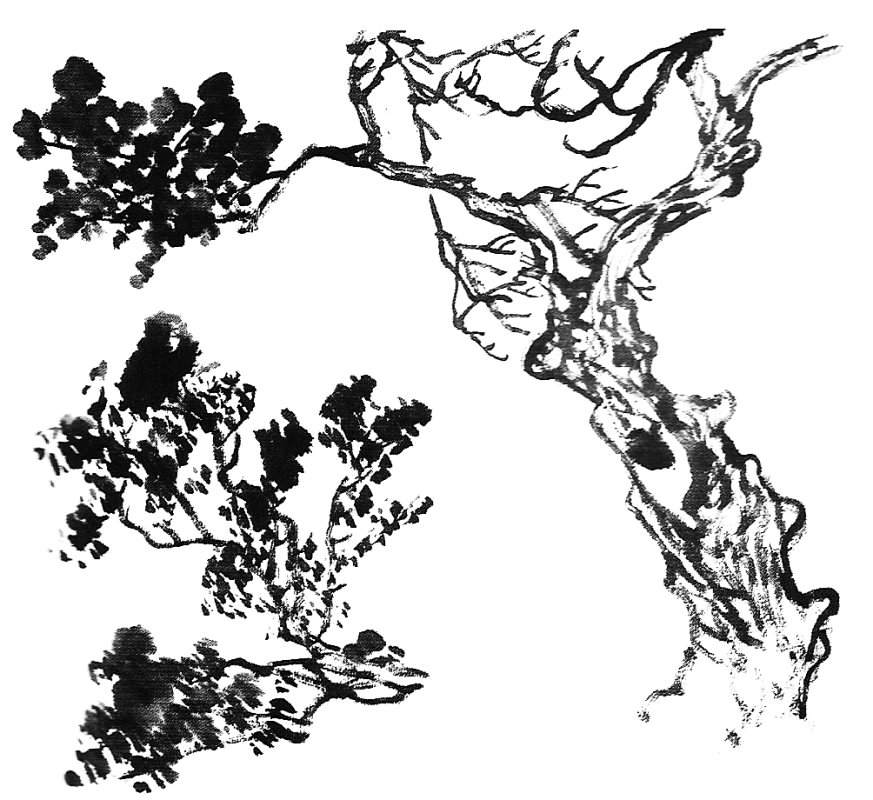 Peinture chinoise : le sapin