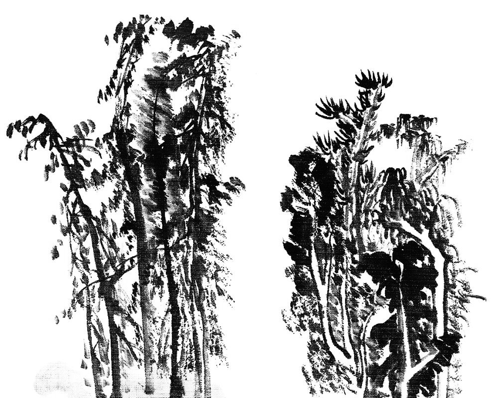 Peinture chinoise : les espèces d'arbres différentes
