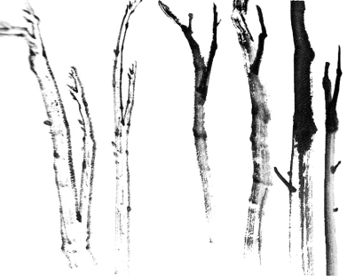 Peinture chinoise :le tronc des arbres