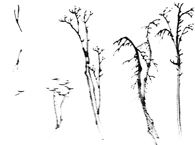 Peinture chinoise : les branches des arbres