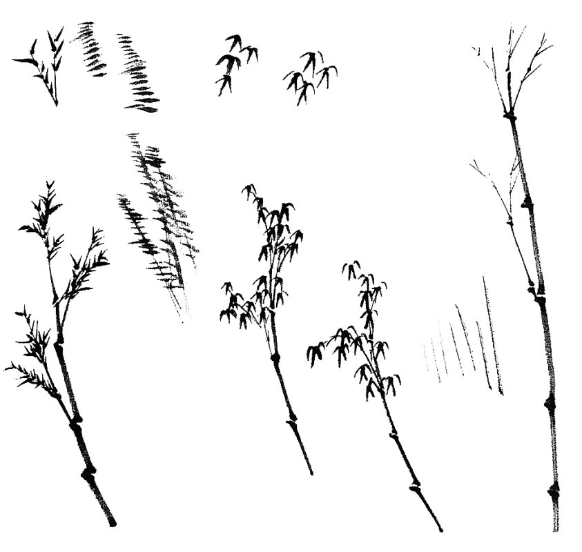 Peinture chinoise : le bambou