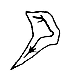 Calligraphie chinoise : point