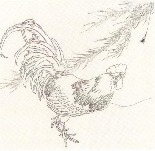 Le coq en peinture chinoise gongbi, étape 1