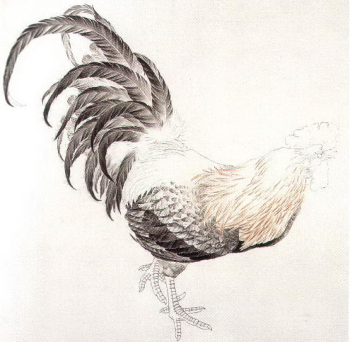 Le coq en peinture chinoise gongbi, étape 3