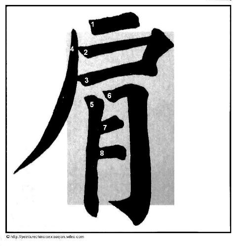 Calligraphie chinoise : les traits jetés