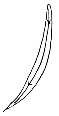 Calligraphie chinoise : les traits jetés