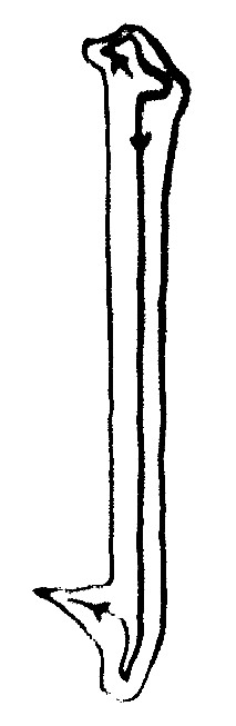 Calligraphie chinoise : les traits verticaux