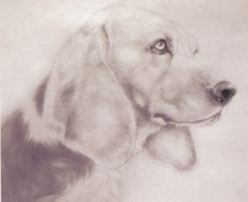 Le chien en peinture chinoise gongbi, étape 1.