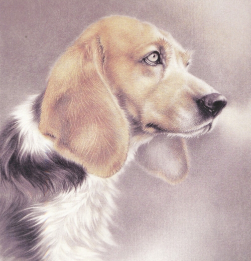 Le chien en peinture chinoise gongbi, étape 3.
