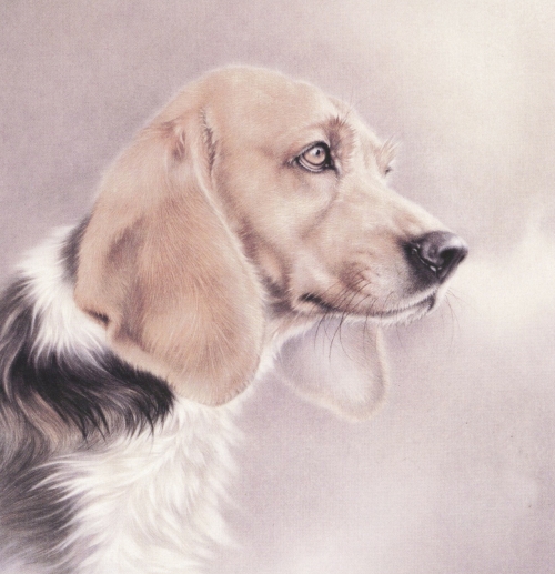 Le chien en peinture chinoise gongbi, étape 4.