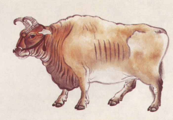Le buffle en peinture chinoise gongbi, étape 2.