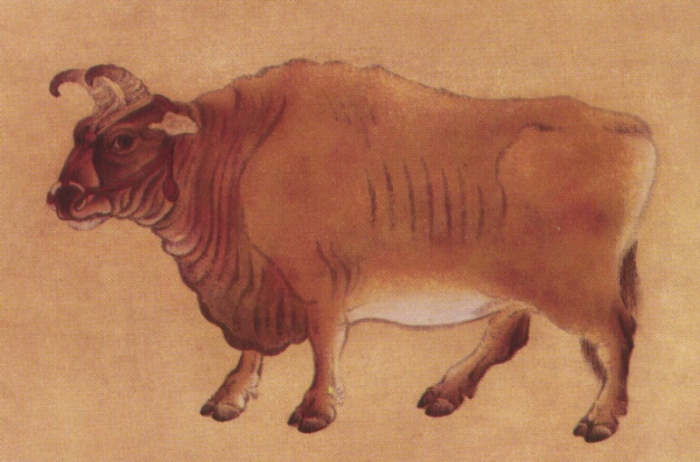 Le buffle en peinture chinoise gongbi, étape 3.