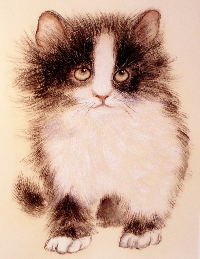 Le corps du chat en peinture chinoise xieyi, étape 3.