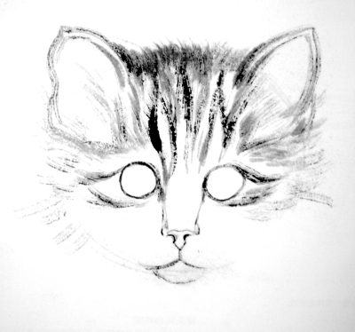 La tête du chat en peinture chinoise xieyi, étape 2.