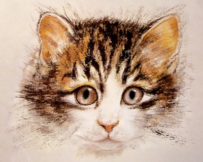 La tête du chat en peinture chinoise xieyi, étape 4.
