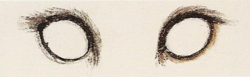 Les yeux du chat en peinture chinoise xieyi, étape 2.