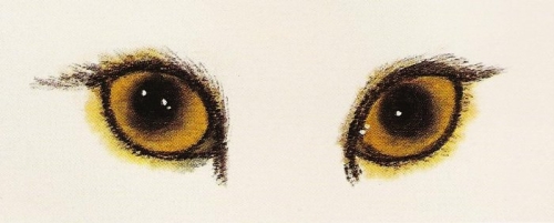 Les yeux du chat en peinture chinoise xieyi, étape 3.