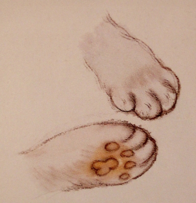 Les pattes du chat en peinture chinoise xieyi, étape 1.