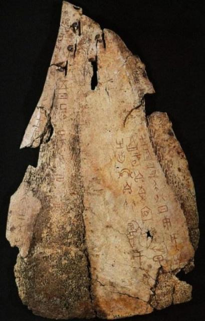 Divination sur os de boeuf. 32.2 sur 19.8 cm Ville d'Anyang, Province du Henan.