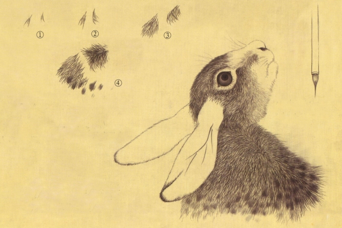 Les poils des animaux en peinture chinoise xieyi, modèle 3.