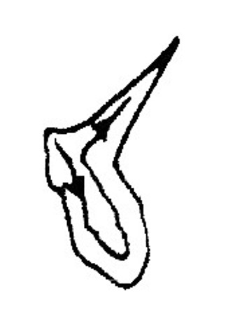 Calligraphie chinoise : les traits relevés